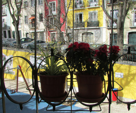 Alfama with garden view