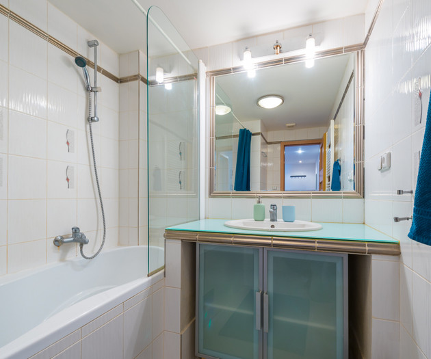 ROOF APARTMENT with TERRACE near WENCESLAS Sq.