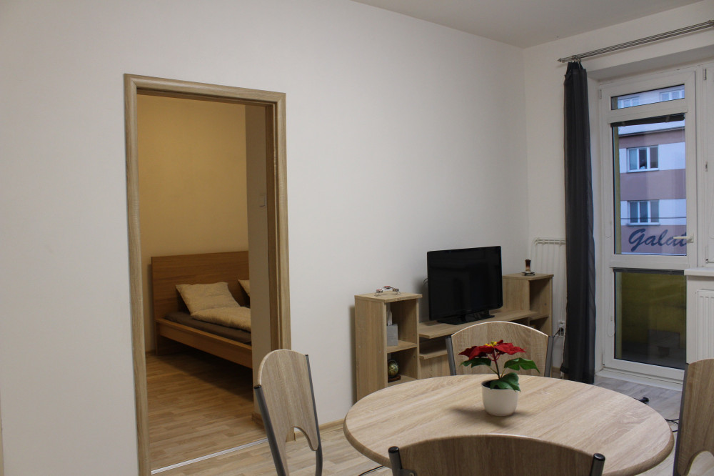 Cozy apartment in the center of Brno