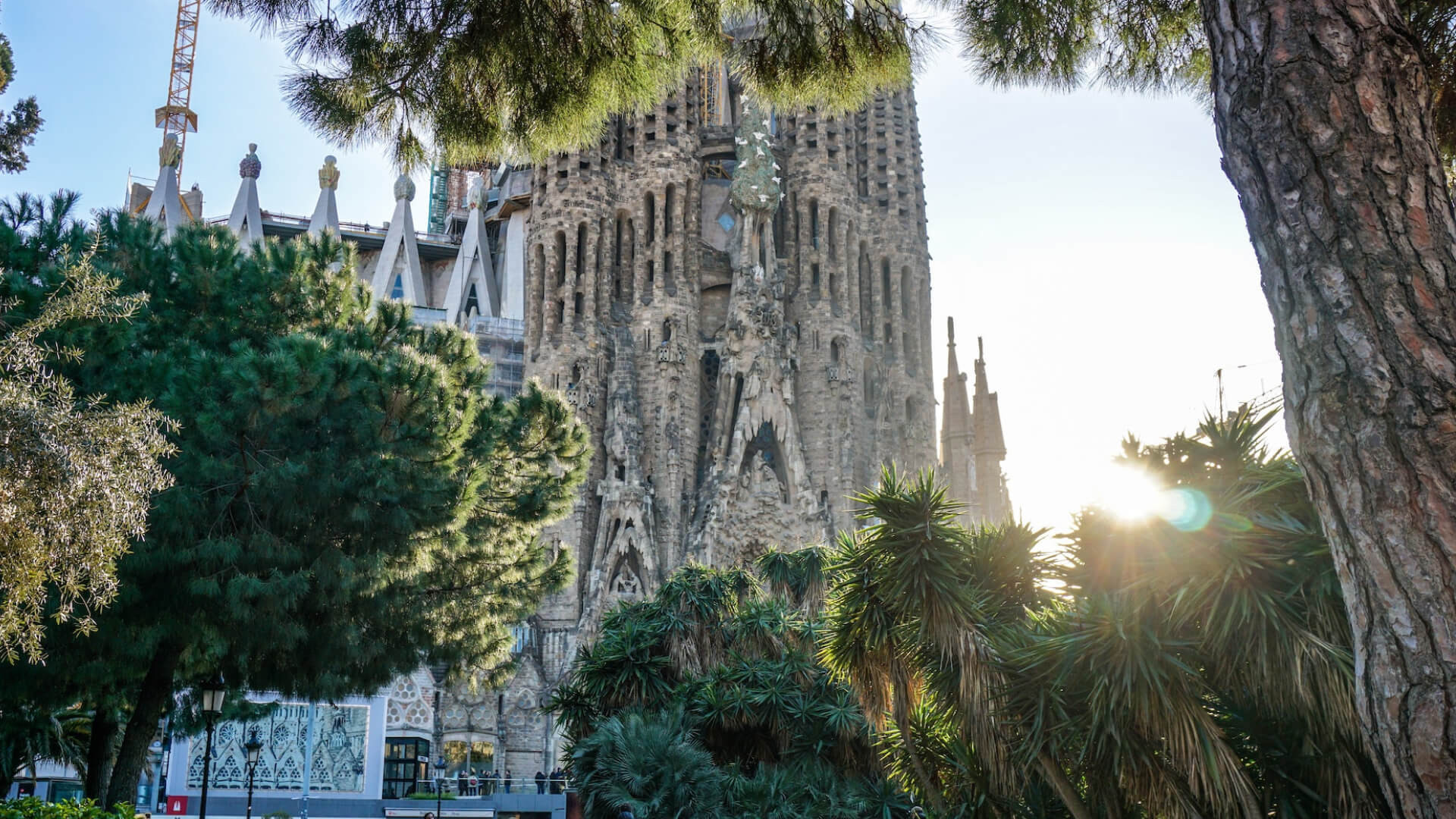 Apartments for rent in Barcelona: flats to rent
