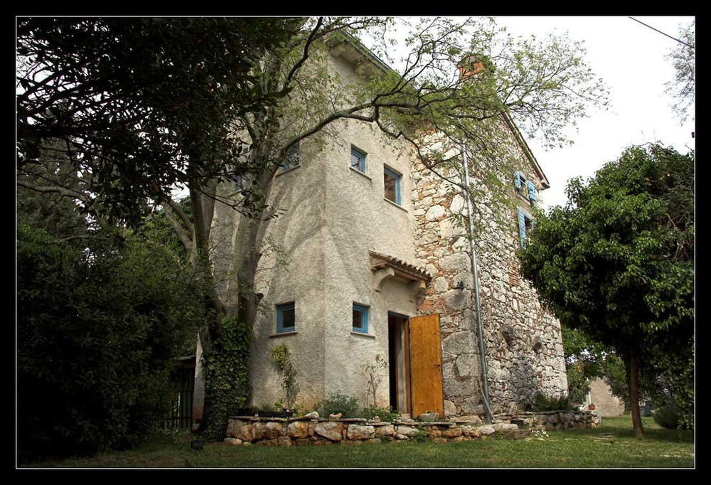 HAUSE IN NATURE preview
