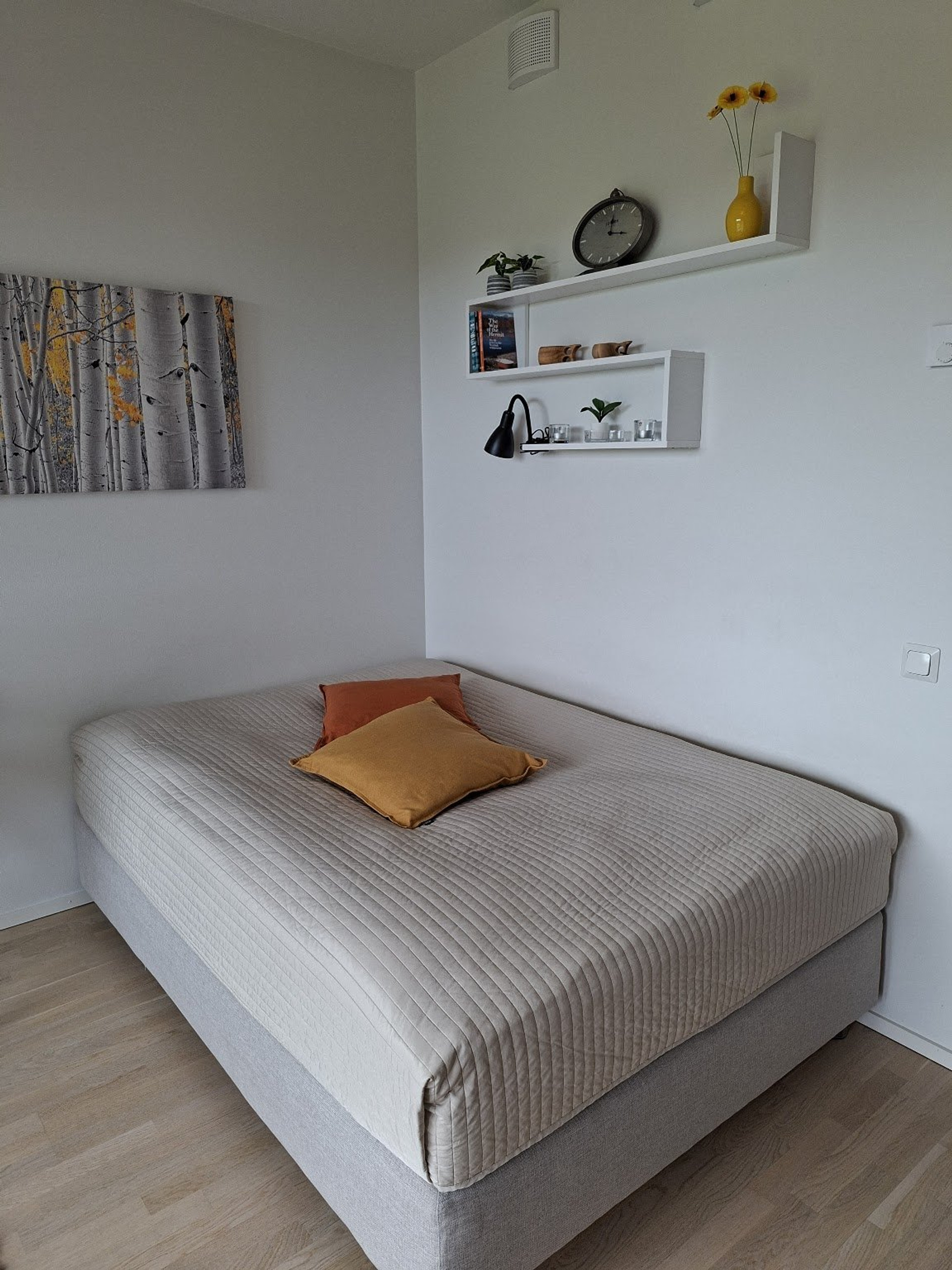 Bed with shelves and artwork