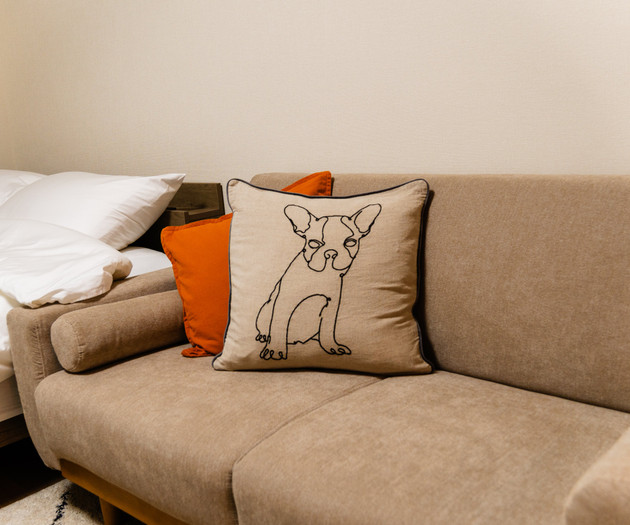 Sofa with dog pillow detail
