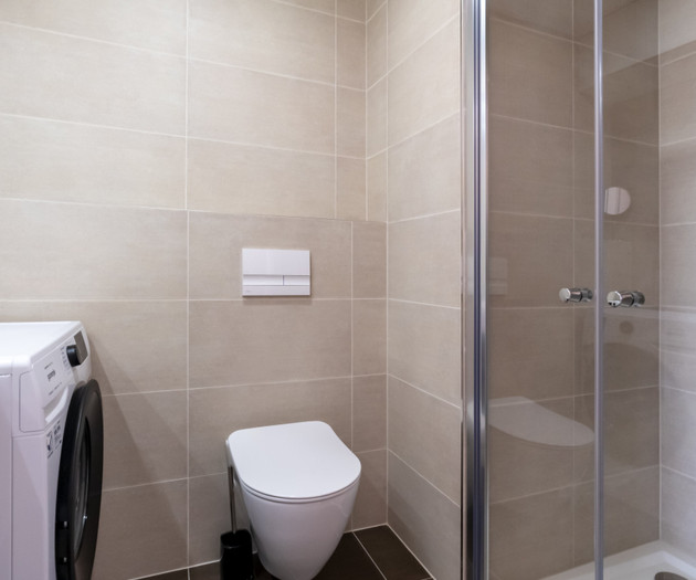 Bathroom shower and toilet area