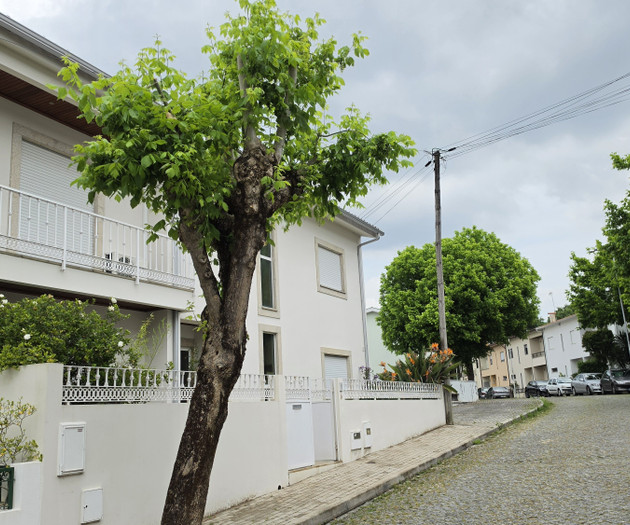 Casa da Estrelícia: Tranquility in the City & Priv