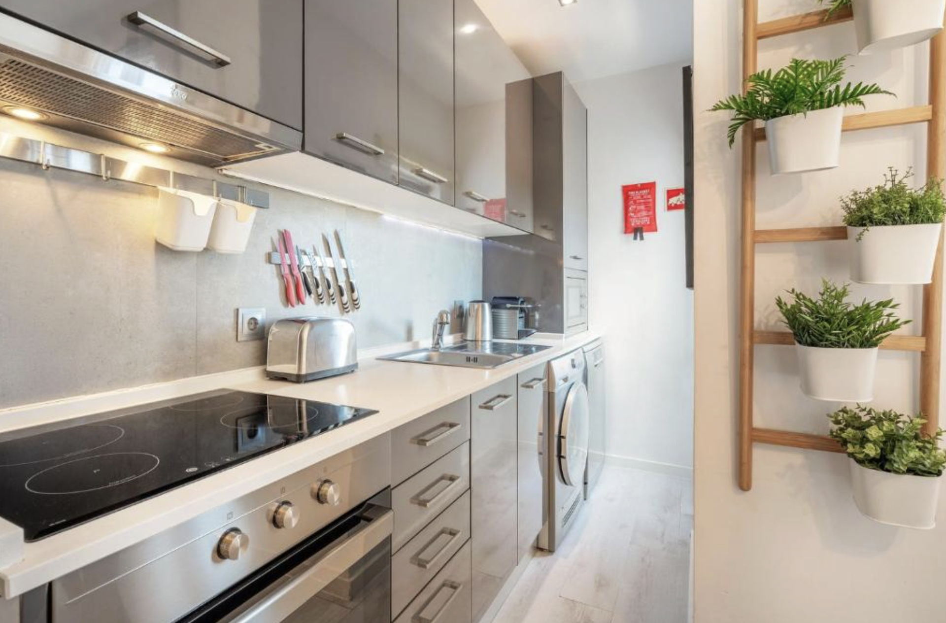Modern kitchen with appliances