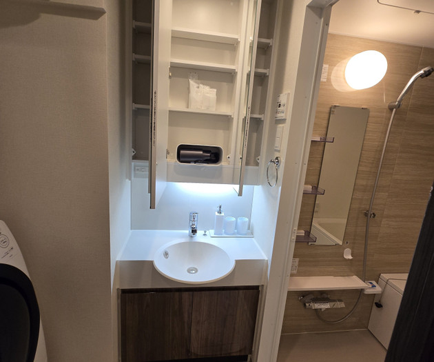 Bathroom sink and mirror