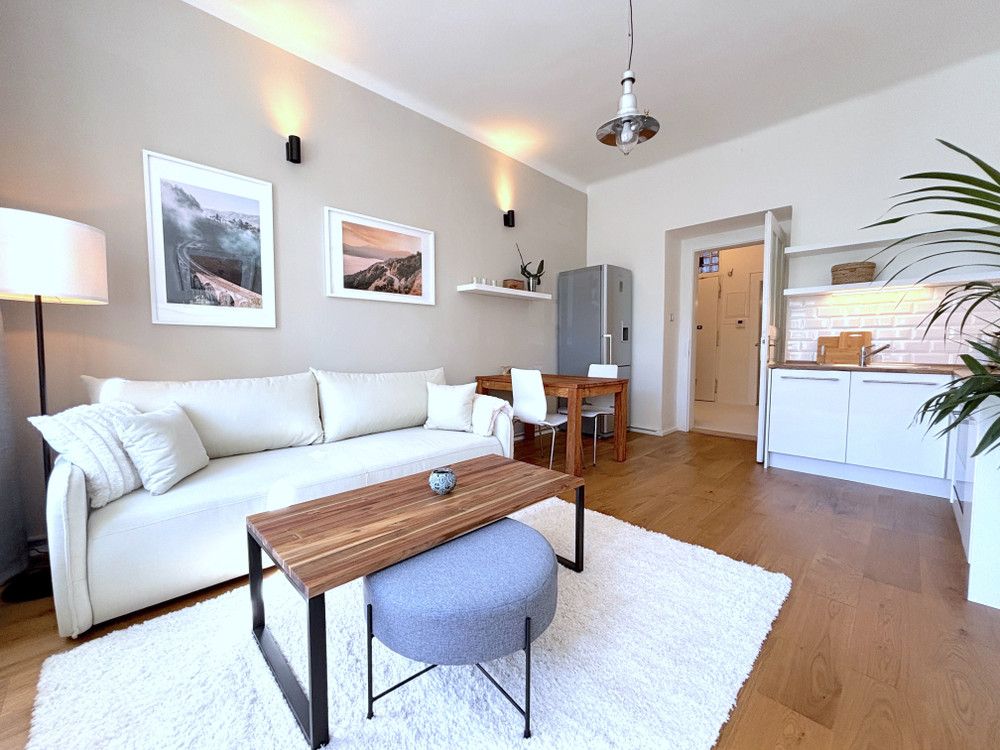 balcony&park view 2+kk apartment close to Vysehrad preview