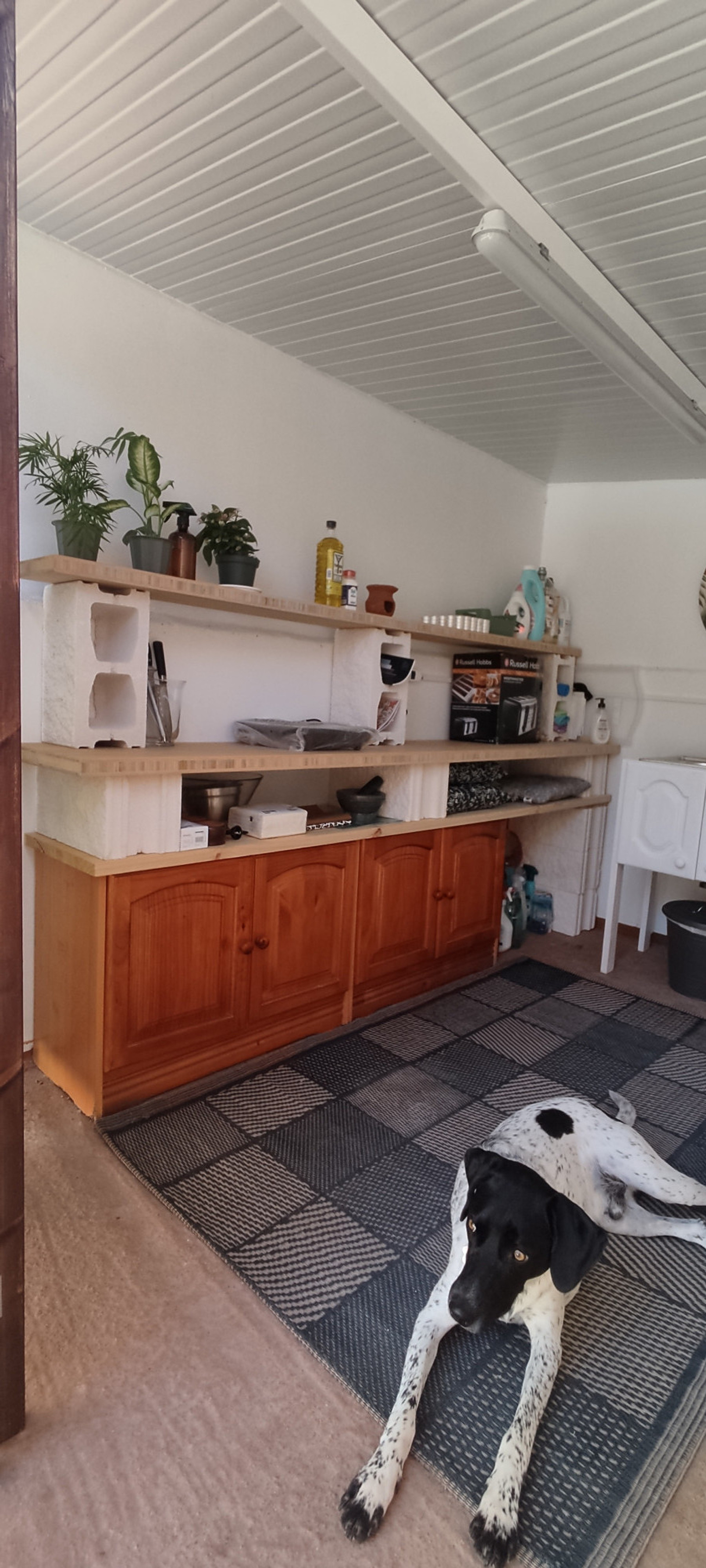 Cocina, zona común