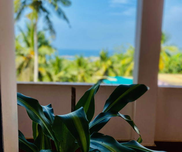 Balcony view with palm trees