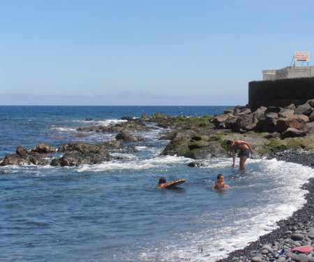 Habitación en Azotea Ajardinada