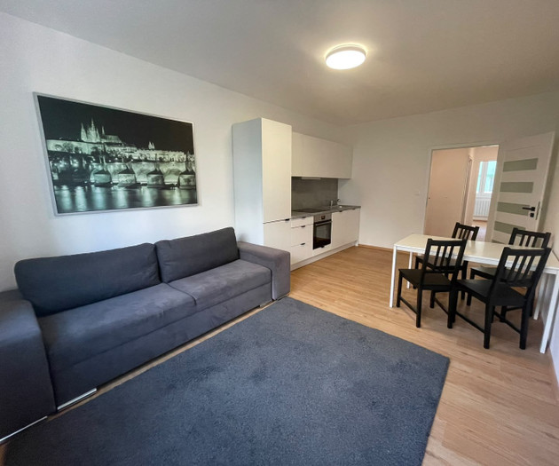 Bright Renovated 2-Bedroom Apartment (3+kk), 73 m²