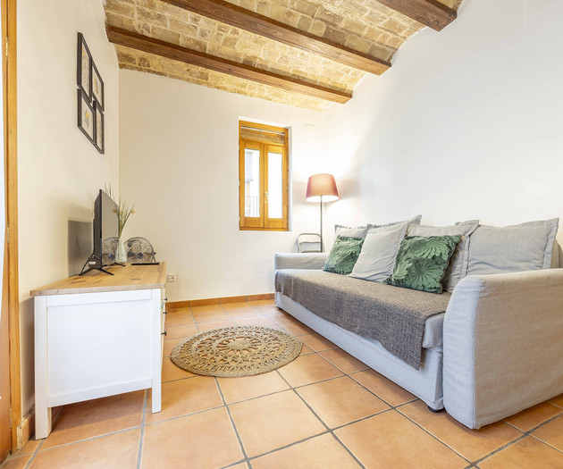 One-Bedroom Apartment in the Historic Center