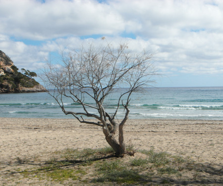 Apartamento in Canyamel (Mallorca)