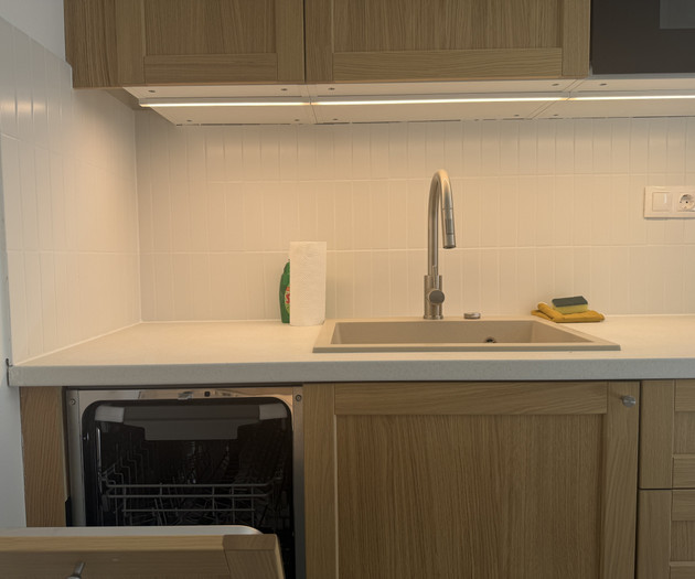 Kitchen sink with dishwasher