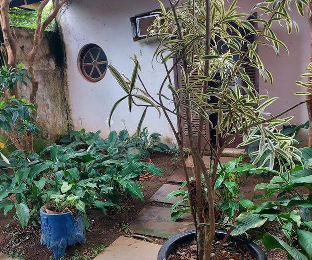Buddha House