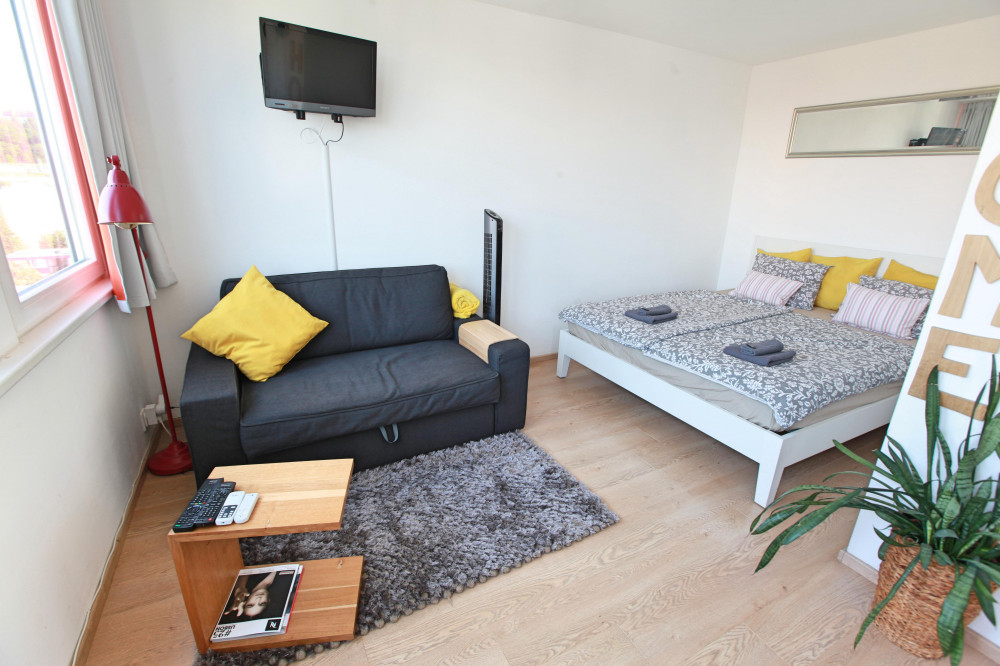 One-bedroom apartment, Karlin, Molakova