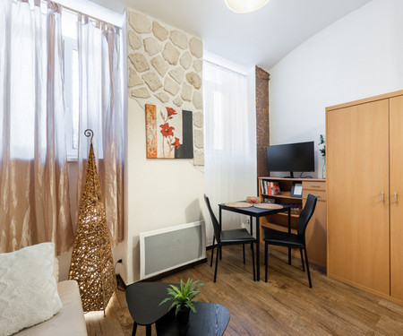 Studio Vinohrady/Žižkov (wifi + Netflix included)