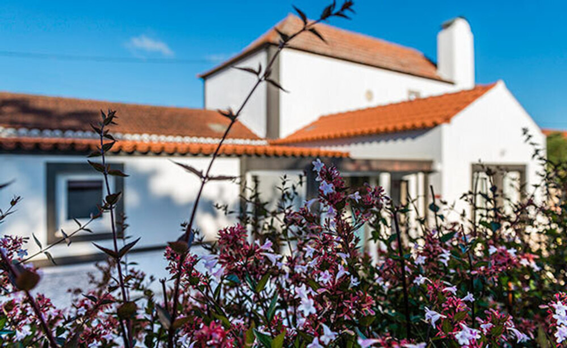 Spring at Casa da Rocha