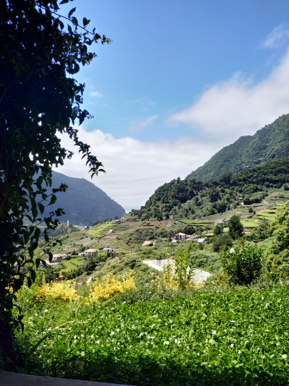 Country house on Madeira Island preview