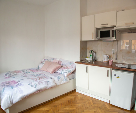 CITY CENTER COZY APARTMENT near UNESCO VYSEHRAD