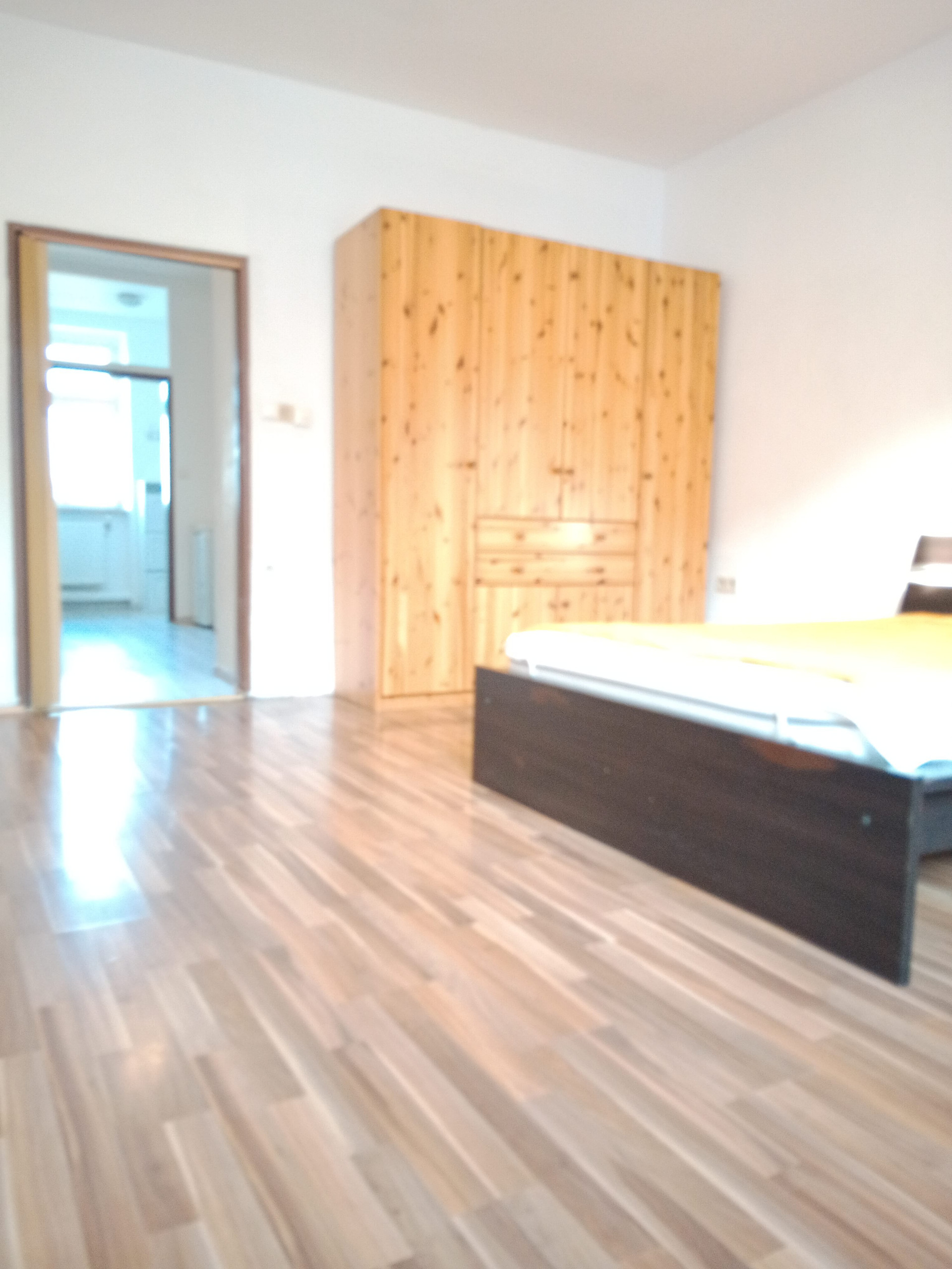 Wohnschlafzimmer 