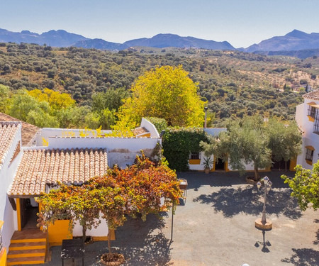 Cubo's Cortijo El Perezon