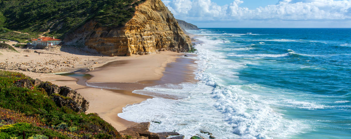 Digital Nomad reveals the reasons why people shouldn't live in Portugal -  RFM : PortugalExpats