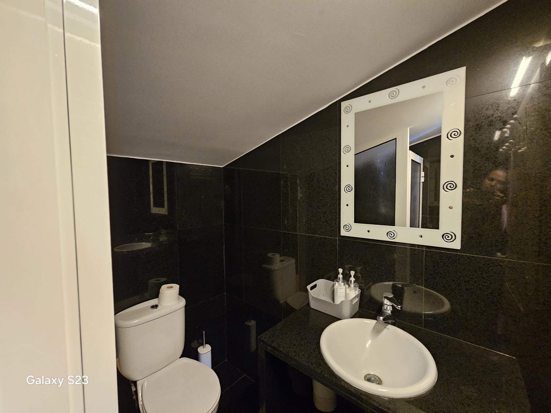 Toilet with duche 