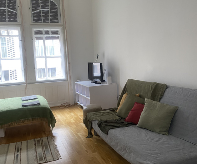 Bright and Spacious Apartment