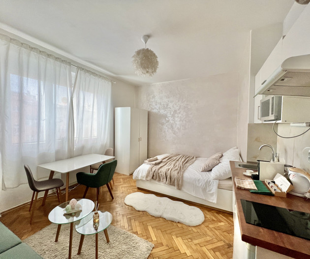 CITY CENTER COZY APARTMENT near UNESCO VYSEHRAD