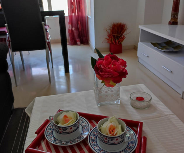 Elegant Apartment next to City & Science
