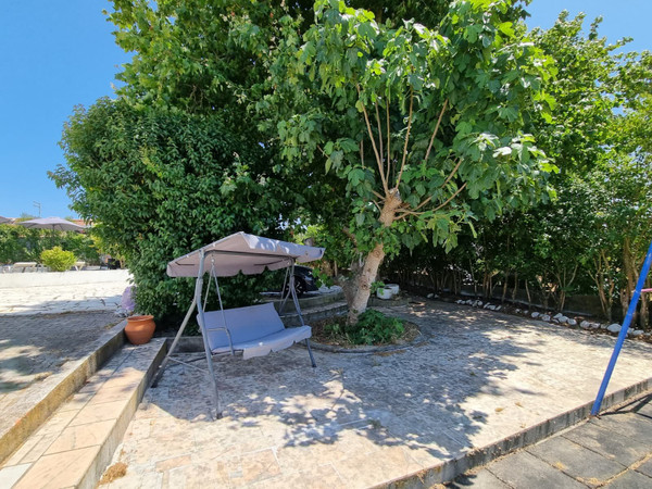 Jardim