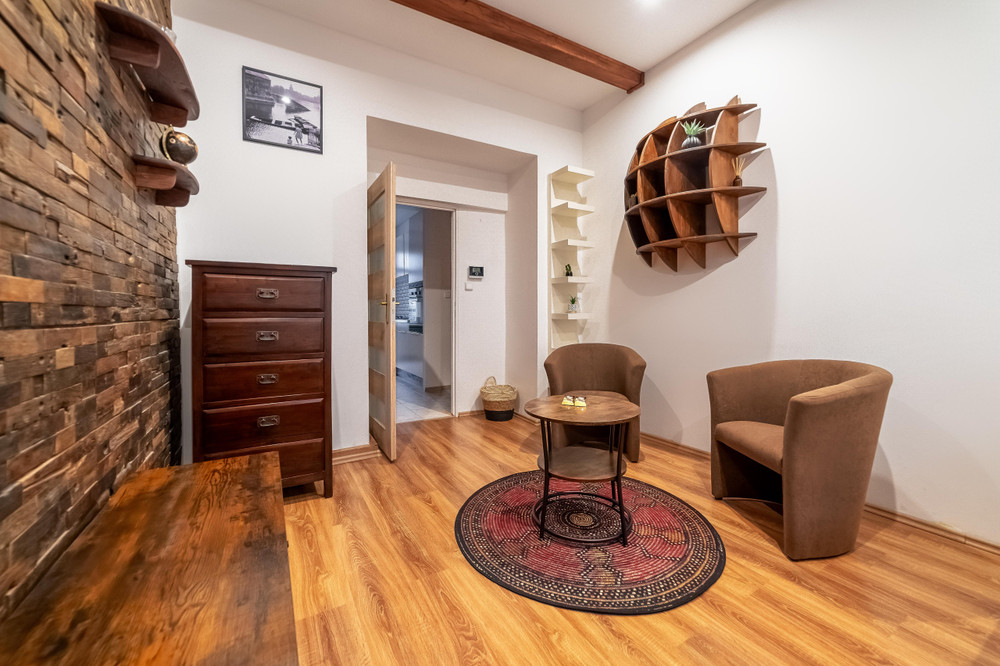 Budget Apartment in Historic Vyšehrad preview