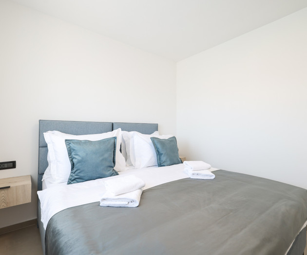 Deluxe apartment VII