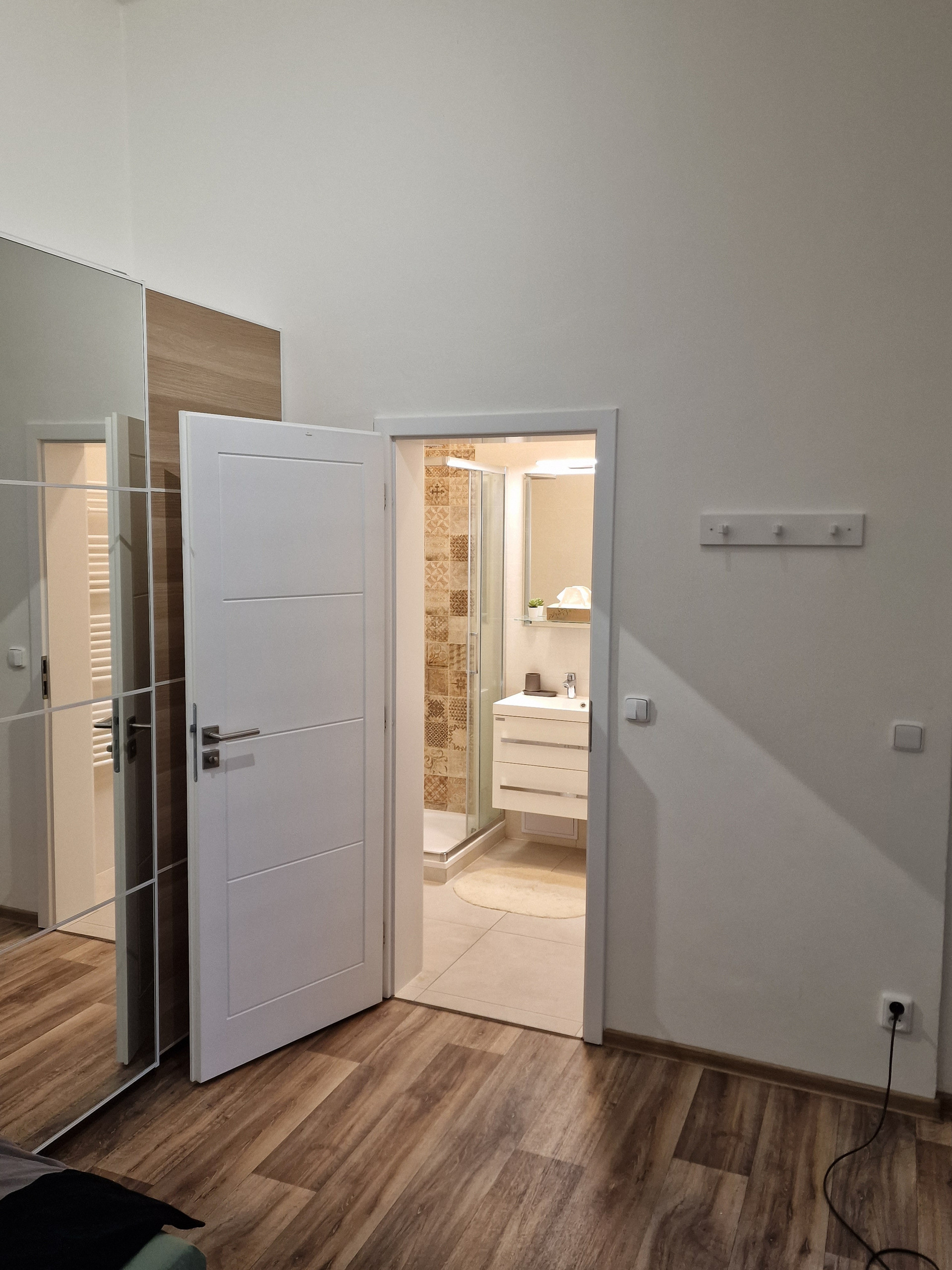 Living/Bedroom