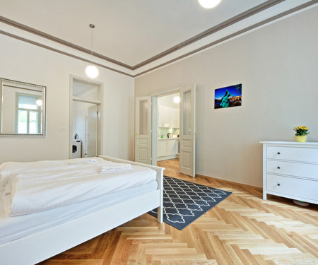 Luxury Apartment in Vinohrady-Available