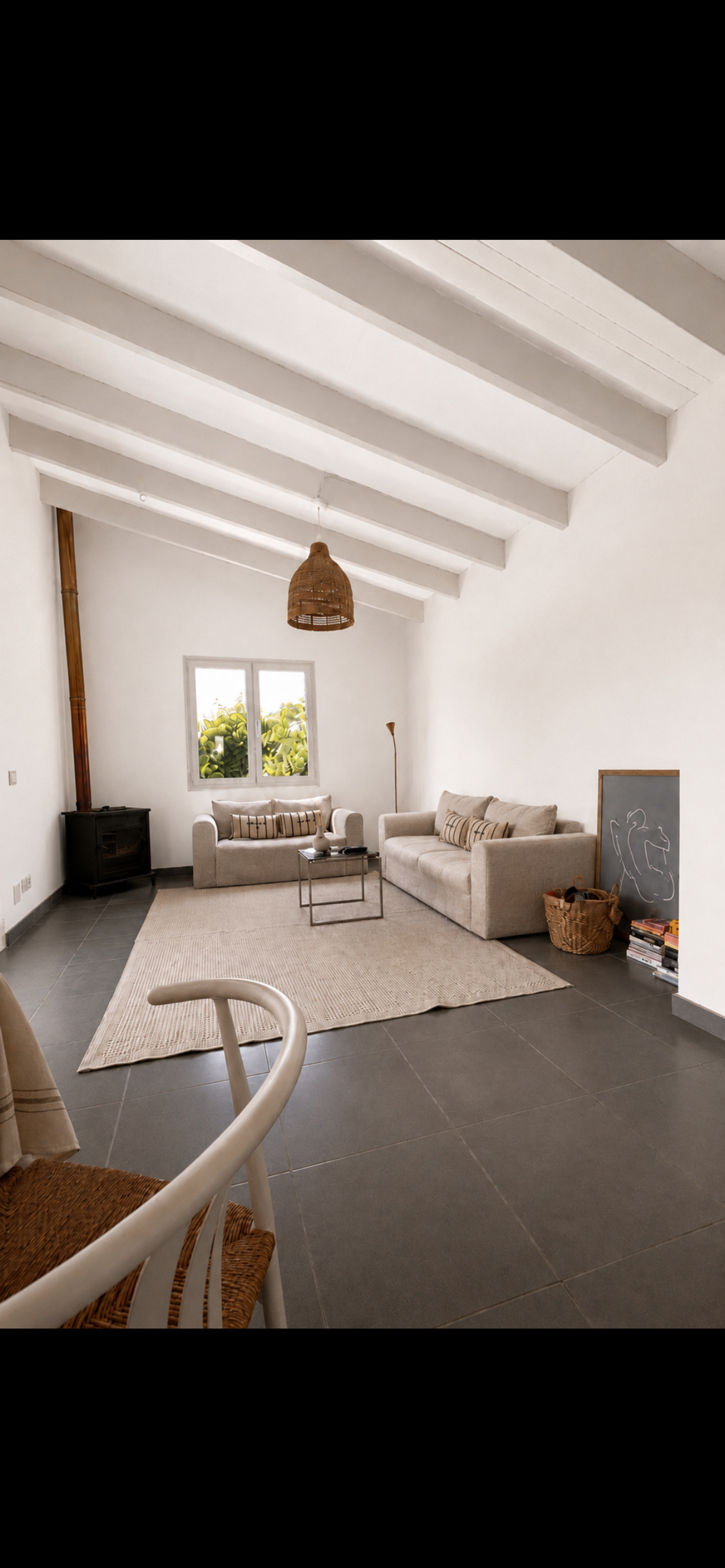 Bright living room with sofas