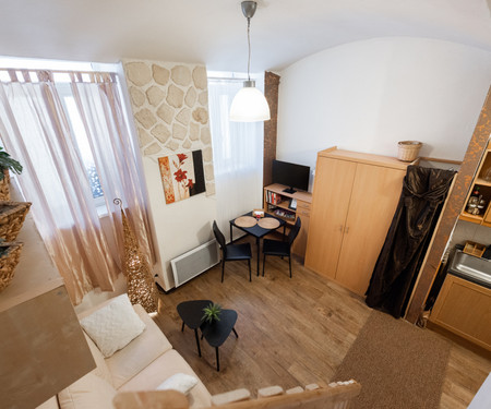 Studio Vinohrady/Žižkov (wifi + Netflix included)