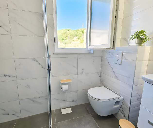 Bathroom toilet with window view