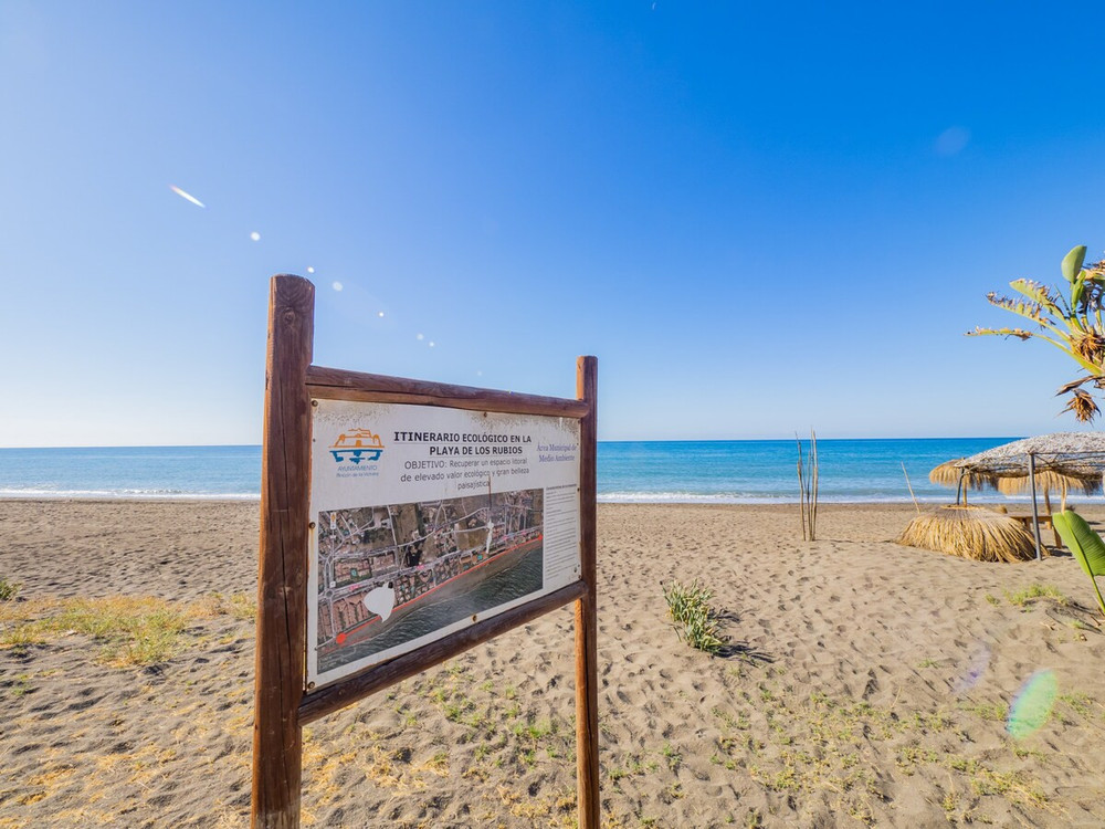 Image #36