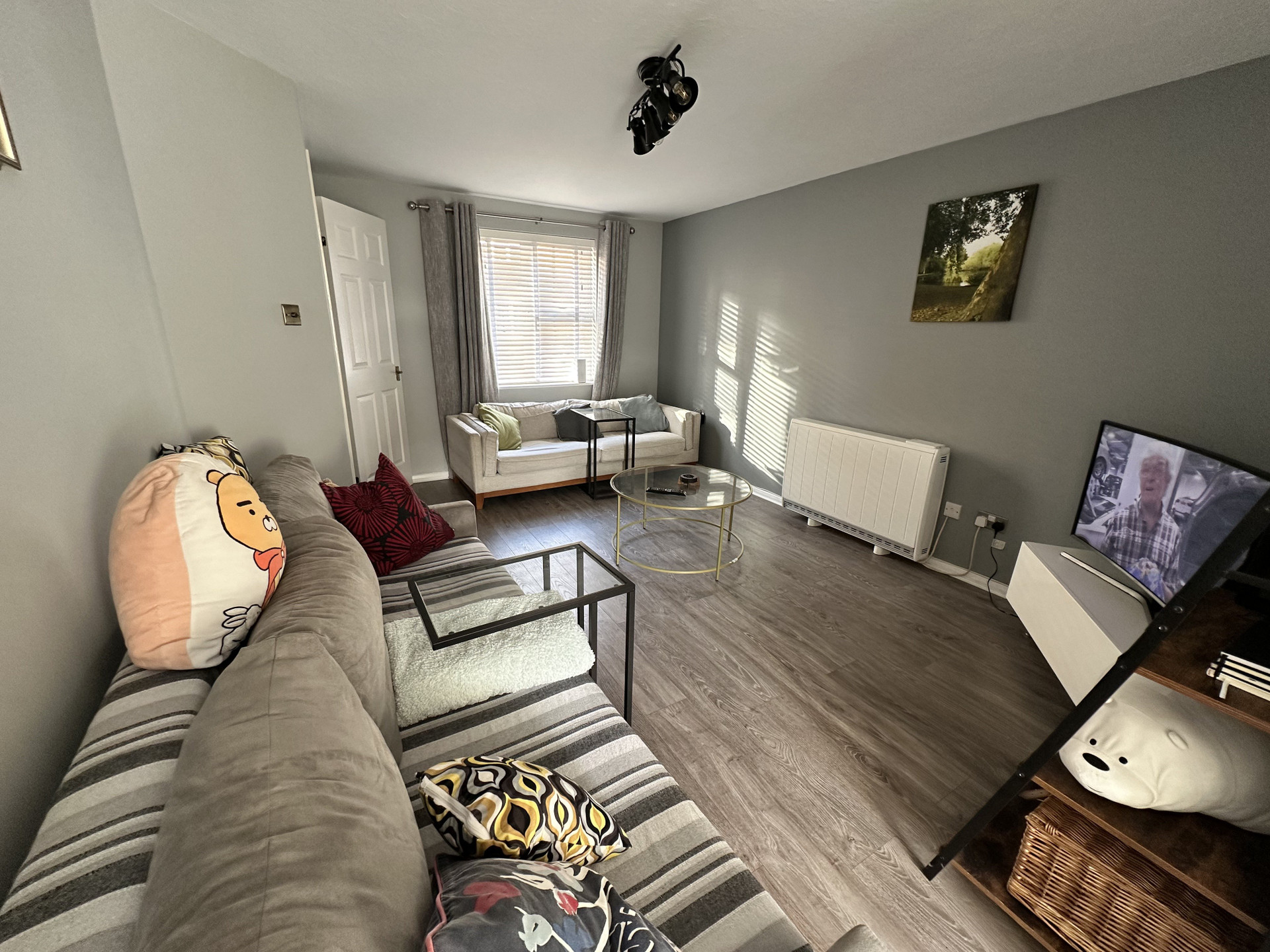 Cozy living room with sofas