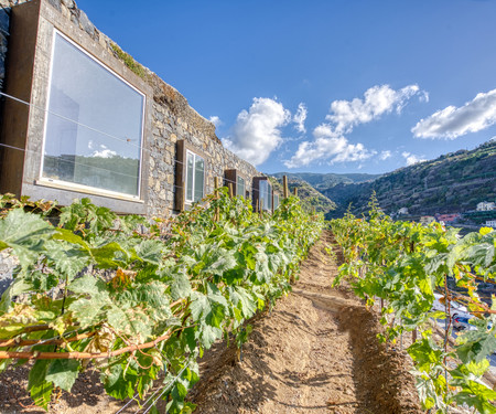 Socalco Nature Hotel - Vila Verdelho