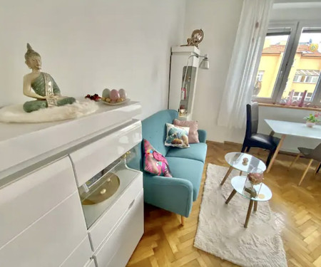 CITY CENTER COZY APARTMENT near UNESCO VYSEHRAD