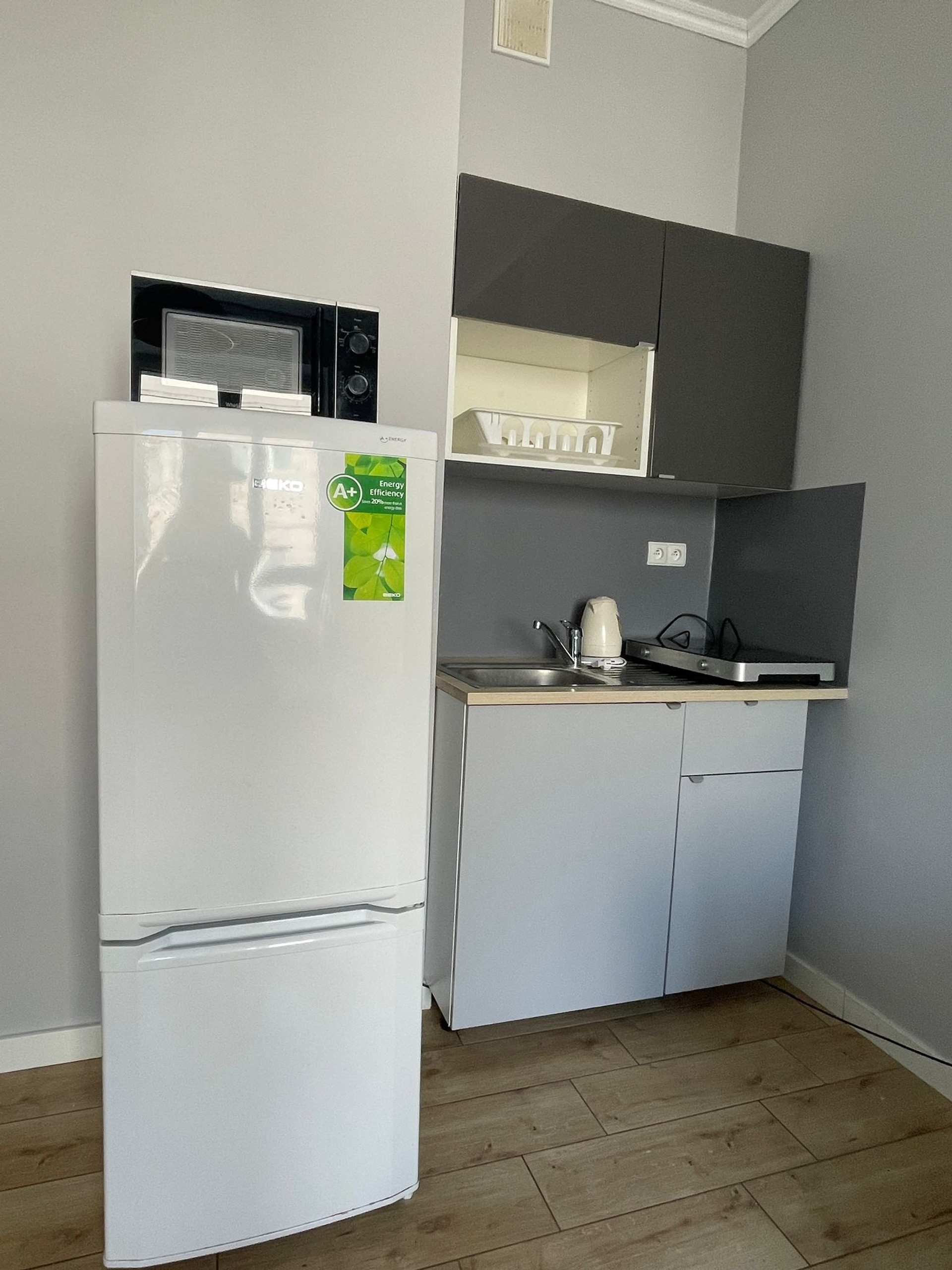 Compact kitchen with fridge and microwave