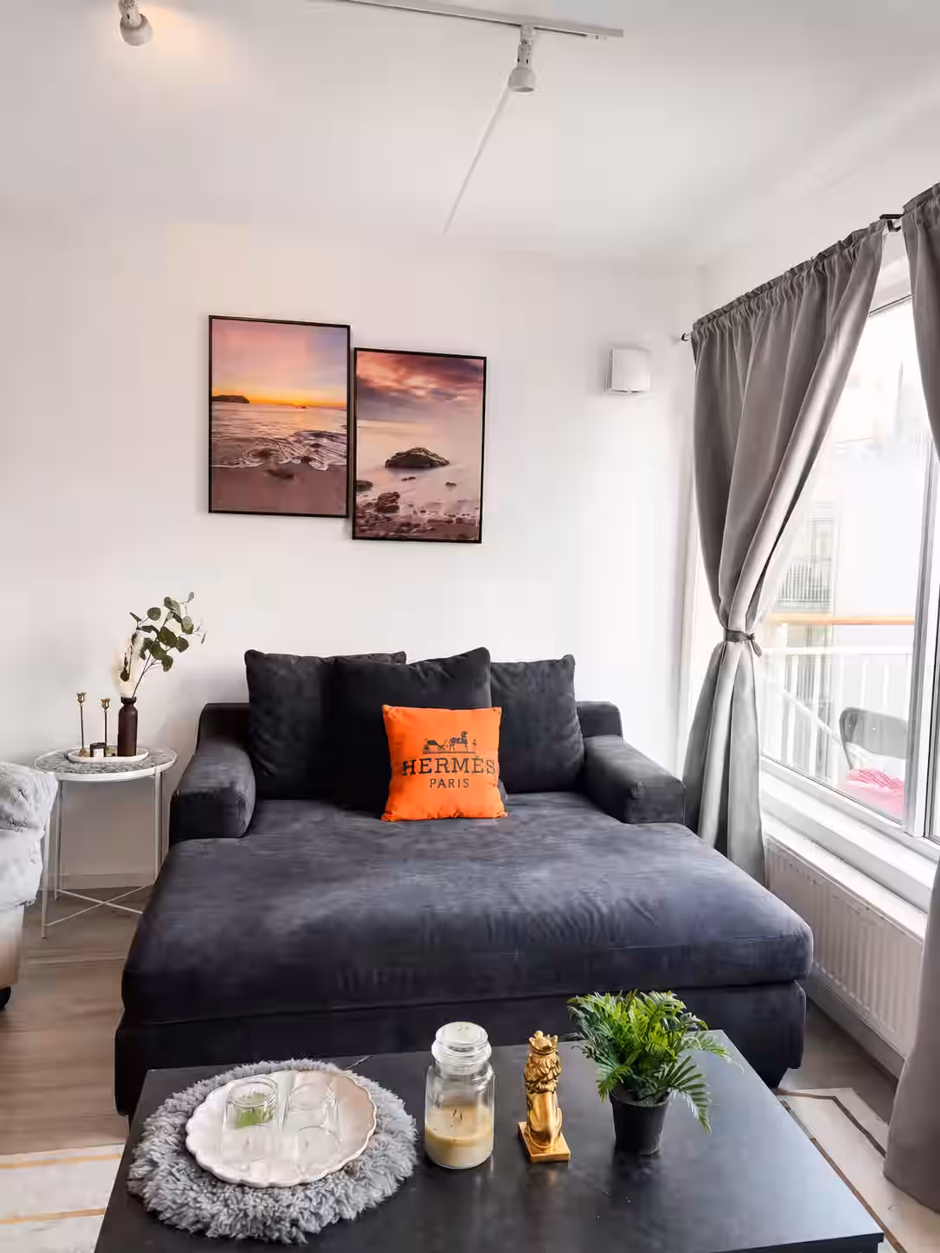 Living room with dark sofa
