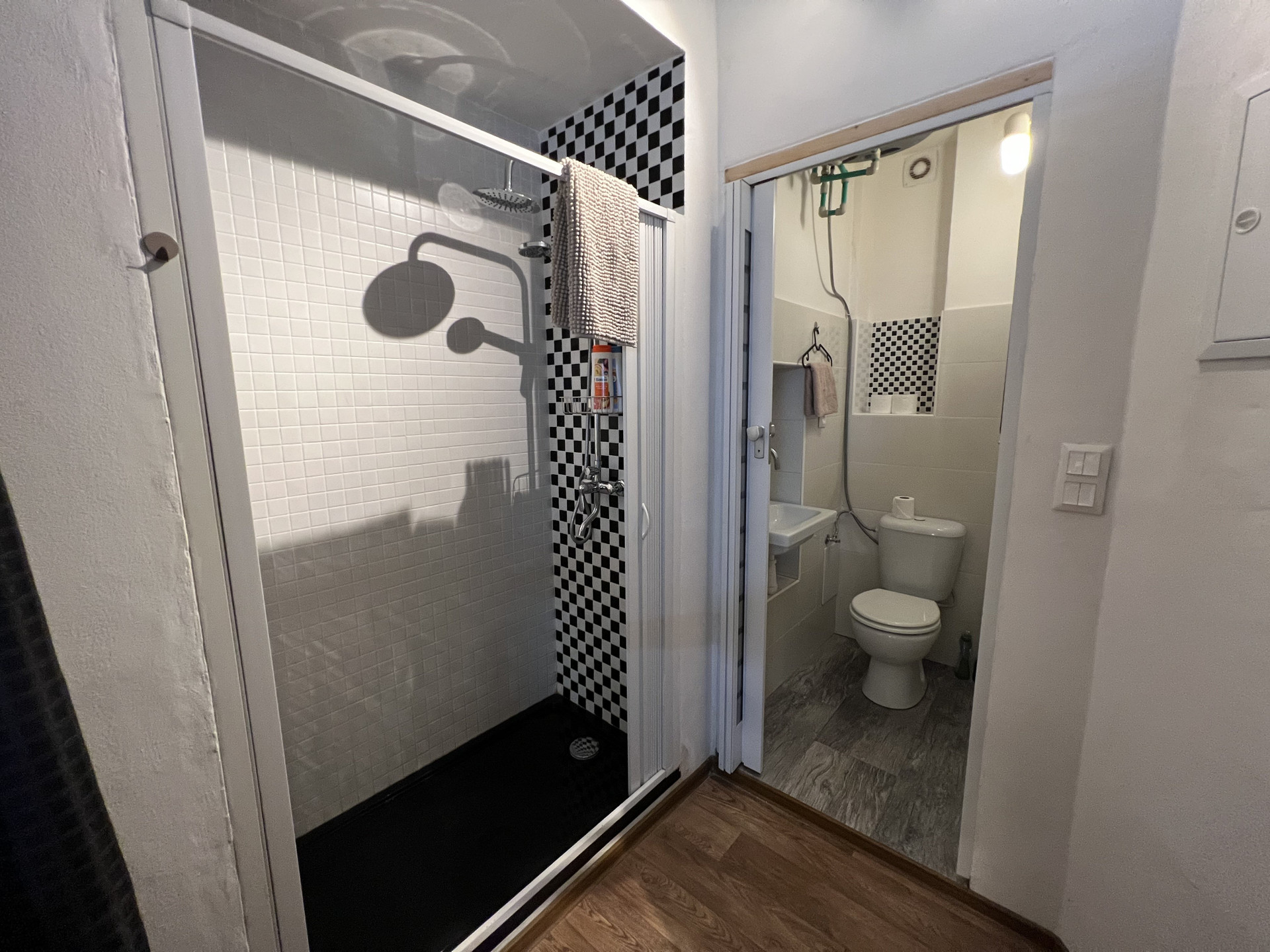 Shower and toilet bathroom