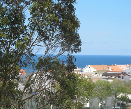 2 Rooms in Ericeira