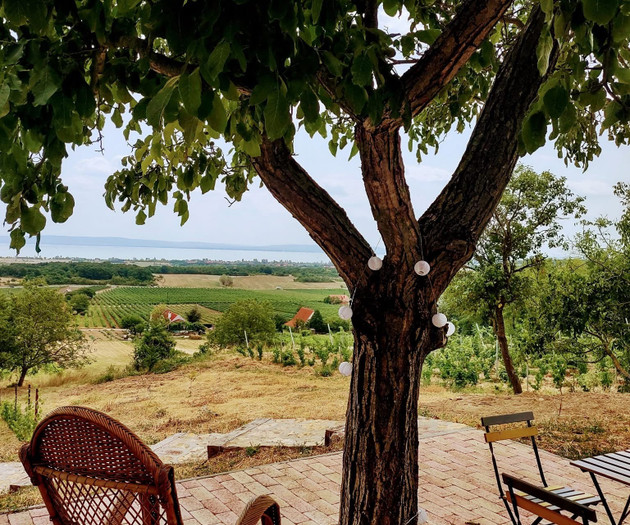 Costs  house with lake Balaton view