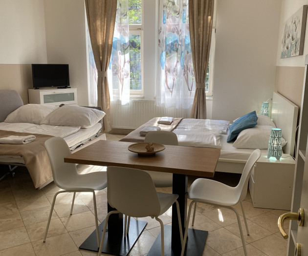 Wohnung 1+kk Nummer 15, Nové Město, Legerova